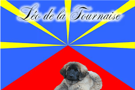 Logo footer
